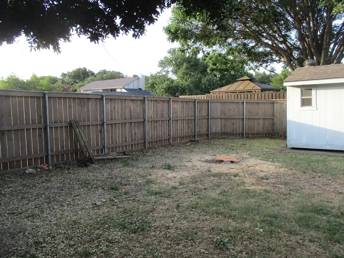 Cleared yard after professional tree removal in Raleigh